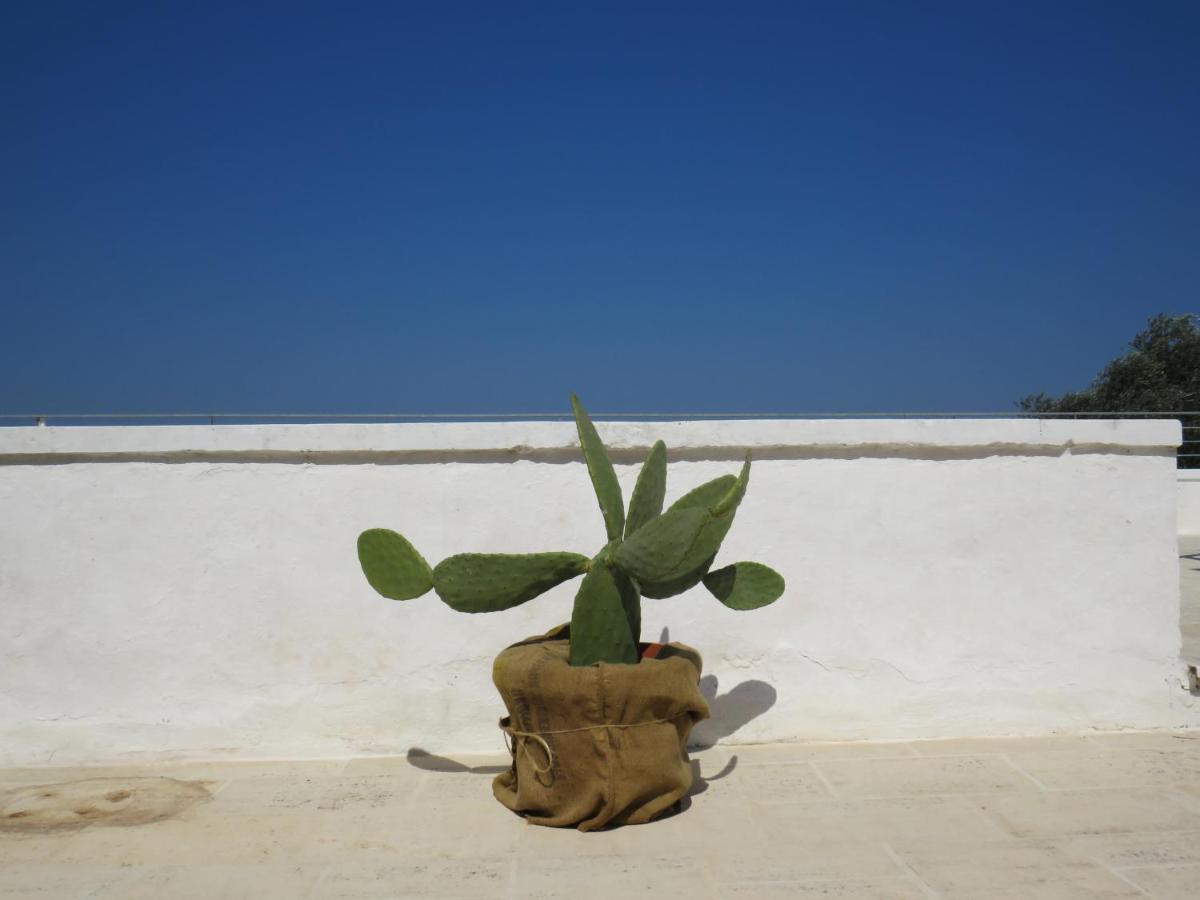 Masseria Borgo Santuri أوستوني المظهر الخارجي الصورة